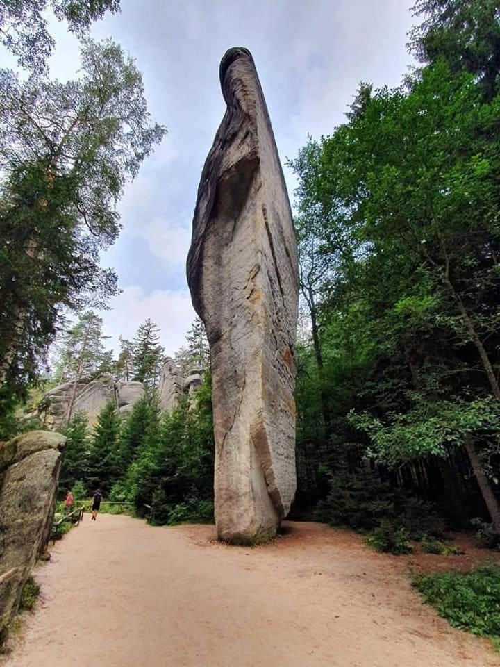 Chalupa Kamenny Vrch Adrspach Teplice nad Metují Oda fotoğraf